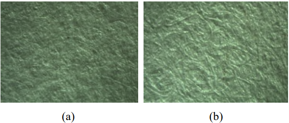 Влияние неоднородности прессового сукна на гладкость и обезвоживание бумажного полотна3.png